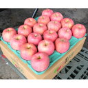 【ふるさと納税】【26年3月出荷予定】平均糖度13度以上! 有袋ふじ 約5kg 訳あり【配送不可地域:離島・沖縄県】【1613032】