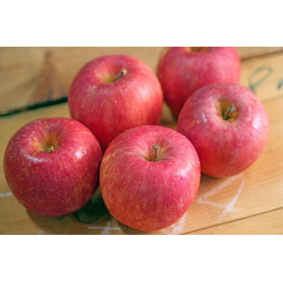 【ふるさと納税】【26年5月出荷予定】平均糖度13度以上! 有袋ふじ 約10kg おもてなし用 CA貯蔵 クール便【配送不可地域：離島・沖縄県】【1613044】