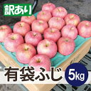 【ふるさと納税】【26年6月出荷予定】平均糖度13度以上! 有袋ふじ 約5kg 訳あり CA貯蔵 クール便【配送不可地域:離島・沖縄県】【1613045】