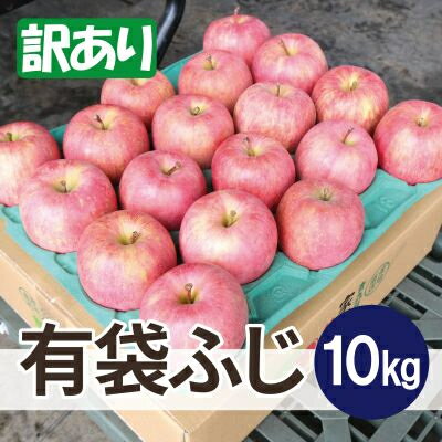 【ふるさと納税】【26年6月出荷予定】平均糖度13度以上! 有袋ふじ 約10kg 訳あり CA貯蔵 クール便【配送不可地域：離島・沖縄県】【161..