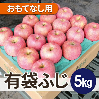 【ふるさと納税】【26年6月出荷予定】平均糖度13度以上! 有袋ふじ 約5kg おもてなし用 CA貯蔵 クール便【配送不可地域:離島・沖縄県】【1613047】