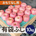 【ふるさと納税】【26年6月出荷予定】平均糖度13度以上! 有袋ふじ 約10kg おもてなし用 CA貯蔵 クール便【配送不可地域:離島・沖縄県】【1613048】