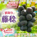 【ふるさと納税】【訳あり】種なしぶどう 青森県産 藤稔2房(1.0kg〜1.2kg)【配送不可地域:離島】【1613278】