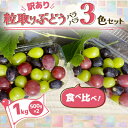 【ふるさと納税】【訳あり】粒取り ぶどう バラバラ3色セット 計1kg(500g×2パック)食べ比べ!【配送不可地域:離島】【1613279】