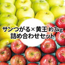 【ふるさと納税】【25年9月出荷予定】糖度13度以上保証! 黄王×サンつがる 約3kg 訳あり クール便【配送不可地域:離島・沖縄県】【1613856】(4)
