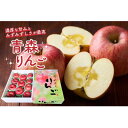 【ふるさと納税】【青森県発】なみおかりんご(サンふじ) 家庭用 約2.5kg以上【配送不可地域:離島】【1635663】