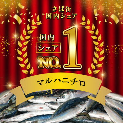 【ふるさと納税】マルハニチロ さば水煮(国産)缶詰 190g×24缶 ふるさと納税【1658802】
