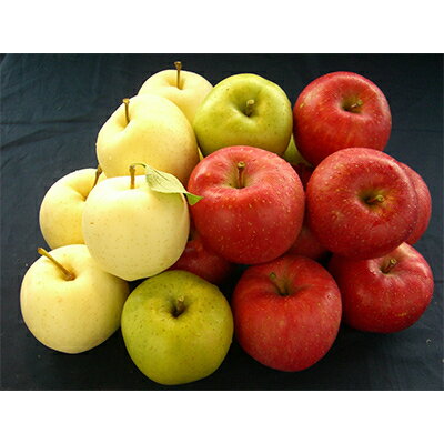 【ふるさと納税】【毎月定期便】青森りんご 家庭用約5kg 全3回【配送不可地域：離島】【4003382】