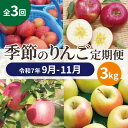 【ふるさと納税】【発送月固定定期便】【25年9月~11月】青森りんご 訳あり 品種おまかせ 3kg全3回【配送不可地域:離島・沖縄県】【4066845】(4)