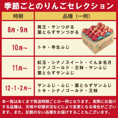【ふるさと納税】【発送月固定定期便】【26年9月～11月】青森りんご 訳あり 品種おまかせ 3kg全3回【配送不可地域：離島・沖縄県】【4066845】