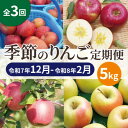 【ふるさと納税】【発送月固定定期便】【25年12月〜26年2月】青森りんご 訳あり 品種おまかせ 5kg全3回【配送不可地域:離島・沖縄県】【4066849】
