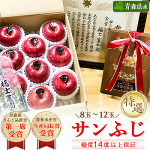 【ふるさと納税】「サンふじ」3kg・糖度14度以上保証・特選贈答用りんご 青森市長賞受賞_ りんご リンゴ 林檎 サンふじ 贈答用 高級 特選 果物 フルーツ 青森県産 美味しい 人気 ギフト 送料無料 【配送不可地域:離島】【1085322】