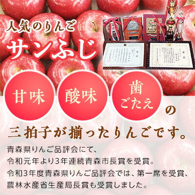 【ふるさと納税】「サンふじ」3kg・糖度14度以上保証・特選贈答用りんご 青森市長賞受賞【配送不可地域：離島】【1085322】