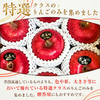 【ふるさと納税】「サンふじ」3kg・糖度14度以上保証・特選贈答用りんご 青森市長賞受賞【配送不可地域：離島】【1085322】