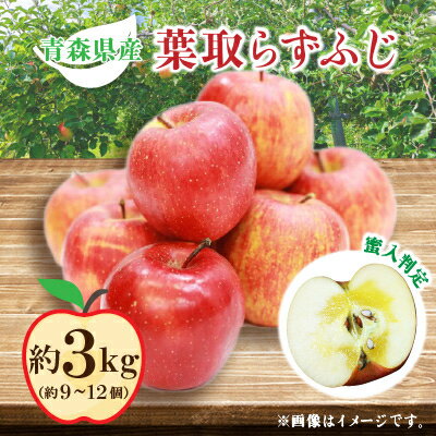 【ふるさと納税】りんご 葉取らずふじ 蜜入判定 3kg (約