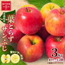 【ふるさと納税】りんご 葉取らずふじ 蜜入判定 3kg (約9~12個)_ りんご 林檎 リンゴ ふじ フジ 果物 くだもの フルーツ 葉取らず 青森県 産地直送 送料無料 おすすめ 人気 お取り寄せ 贈答 ギフト プレゼント 常温 3kg 【配送不可地域:離島】【1085335】