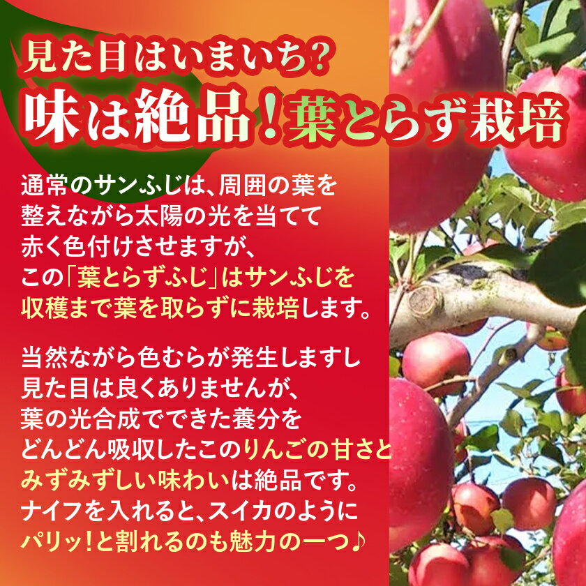 青森県青森市の画像3