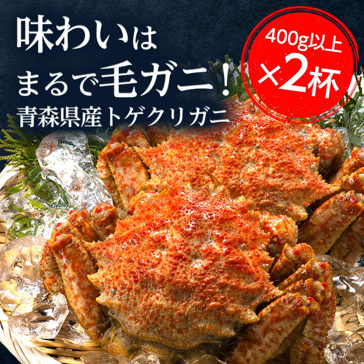 【ふるさと納税】【厳選逸品】青森産 丸勝水産のトゲクリガニ(400gUP×2杯)【配送不可地域：離島】【1142798】