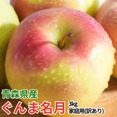 【ふるさと納税】【26年4月～26年5月出荷予定】平均糖度13度以上!ぐんま名月 約3kg 訳あり  ...