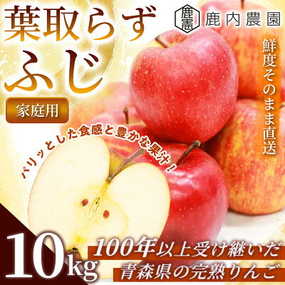 【甘くてみずみずしい】 りんご 「葉取らずふじ」家庭用 約10kg (約32～40個) 青森市 産地【配送不可地域：離島】【1785151】