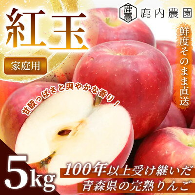 【甘酸っぱさと爽やかな香り】りんご 「紅玉」家庭用 約5kg (約14～20個) 青森市 産地直送【配送不可地域：離島】【1785169】