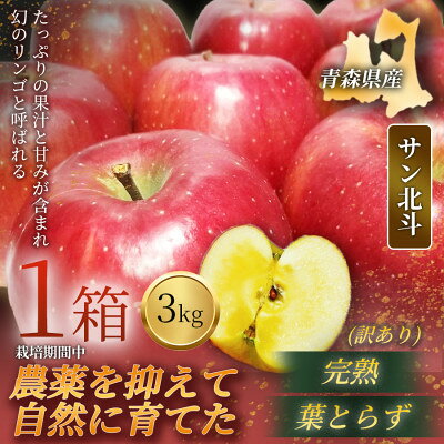 【青森直送 季節の味覚をお届け!】サン北斗(幻のサン北斗)3kg×1箱(訳あり)青森産 産地直送【配送不可地域：離島】【1789901】