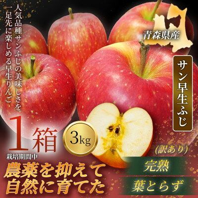 【青森直送 季節の味覚をお届け】サン早生ふじ 3kg×1箱(訳あり)2026年産 産地直 限定生産【配送不可地域：離島】【1789904】
