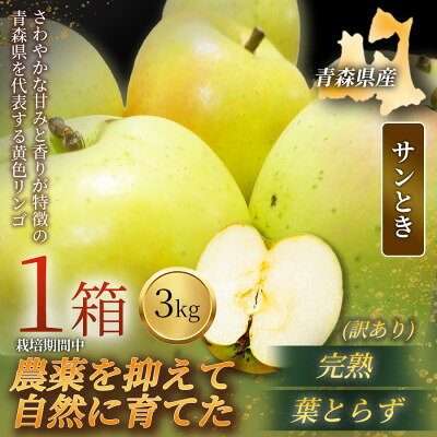 【青森直送 季節の味覚をお届け!】サンとき 3kg×1箱(訳あり)2026年産 産地直送 限定生産【配送不可地域：離島】【1789906】
