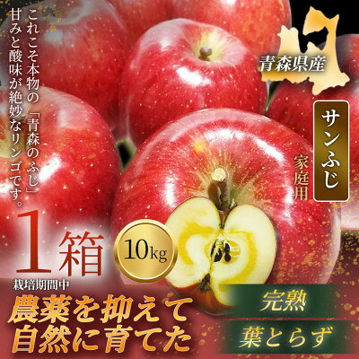 【青森直送 季節の味覚をお届け!】サンふじ 10kg (家庭用) 1箱 青森産 産地直送 限定生産【配送不可地域：離島】【1789980】
