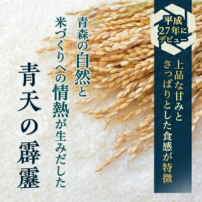 【ふるさと納税】【期間限定】青天の霹靂 精米5.5kg_ お米 米 白米 ご飯 コメ こめ 青森県 青森市 青森 人気 美味しい ふるさと 【1073772】