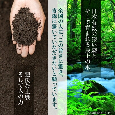 【ふるさと納税】【期間限定】青天の霹靂 精米5.5kg_ お米 米 白米 ご飯 コメ こめ 青森県 青森市 青森 人気 美味しい ふるさと 【1073772】