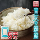 【ふるさと納税】【令和7年産】青森県産 青天の霹靂5kg(精