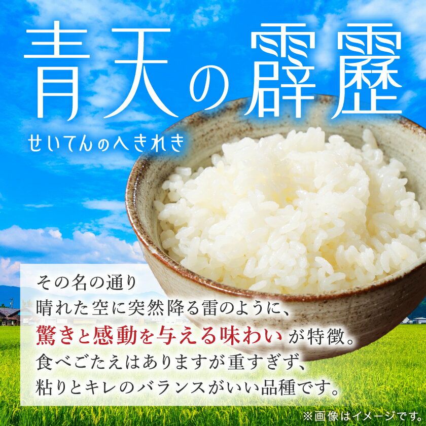 青森の大地が生んだ極上の一粒　【ふるさと納税】【令和7年産】青森県産　青天の霹靂5kg(精米)_ 青森県産 米 お米 白米 コメ こめ 青森 ブランド米 美味しい 人気 ごはん 国産 ギフト 贈答 【1611411】