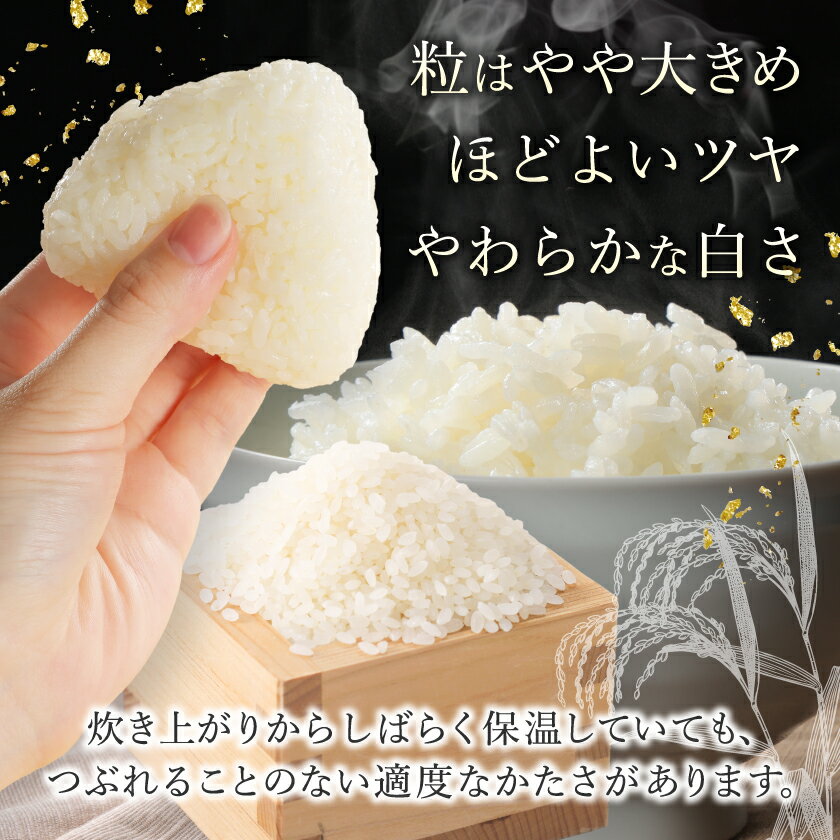 青森の大地が生んだ極上の一粒　【ふるさと納税】【令和7年産】青森県産　青天の霹靂5kg(精米)_ 青森県産 米 お米 白米 コメ こめ 青森 ブランド米 美味しい 人気 ごはん 国産 ギフト 贈答 【1611411】