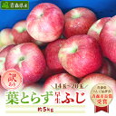 【ふるさと納税】「葉とらず早生ふじ」約5kg・訳あり家庭用りんご【配送不可地域:離島・沖縄県】【1142406】(4)