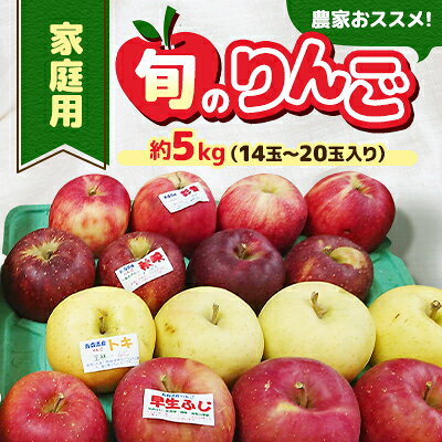 【ふるさと納税】家庭用【令和5年8月中旬～随時発送】農家おススメ!旬のりんご約5kg(14玉～20玉入り)【配送不可地域：離島】【1222616】のサムネイル