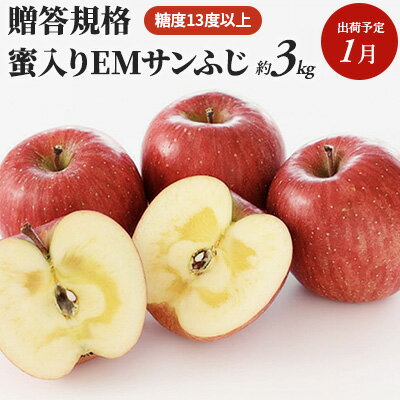 【ふるさと納税】1月 贈答用 蜜入りEMサンふじ約3kg 糖度13度以上【弘前市産・青森りんご】　【果物類・林檎・りんご・リンゴ】　お届け：2021年1月6日～2021年1月31日