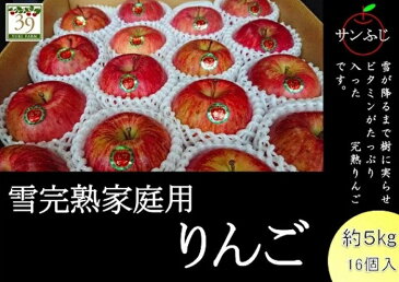【ふるさと納税】1〜3月 訳あり 雪完熟 家庭用サンふじ約5kg 【果物類・林檎・りんご・リンゴ・サンふじ・約5kg・訳あり】 お届け:2021年1月6日〜2021年3月31日