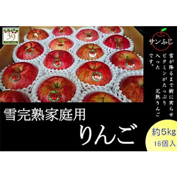 【ふるさと納税】1〜3月 訳あり 雪完熟 家庭用サンふじ約5kg 【果物類・林檎・りんご・リンゴ・サンふじ・約5kg・訳あり】 お届け:2021年1月6日〜2021年3月31日