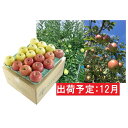 【ふるさと納税】12月 訳あり 葉とらずサンふじ+王林ミック...