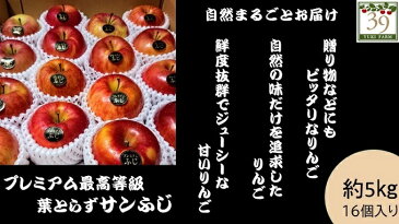【ふるさと納税】1〜3月 [特選」プレミアム葉とらずサンふじ約5kg 16個入り【弘前市産・青森りんご】 【果物類・林檎・りんご・リンゴ】 お届け:2021年1月6日〜2021年3月31日