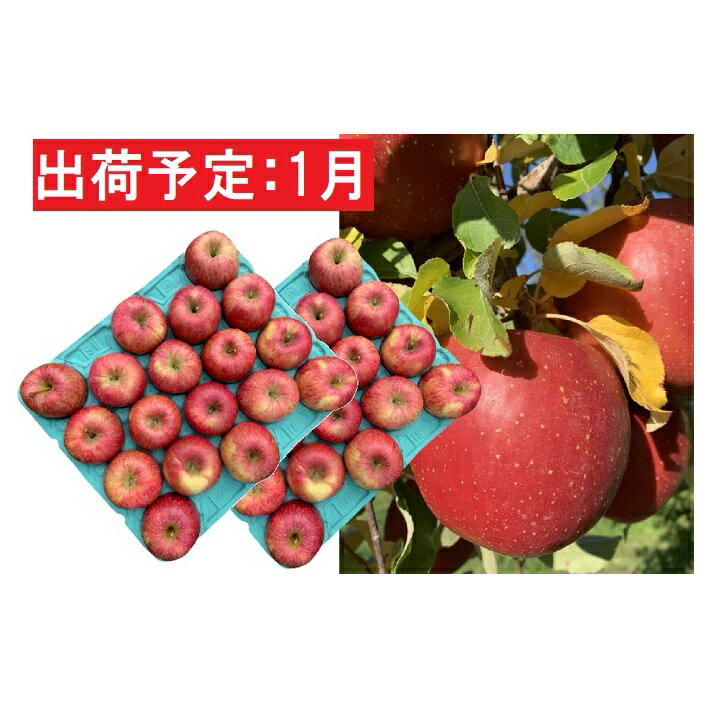 【ふるさと納税】1月 美味！訳あり葉とらずサンふじ約10kg【弘前市産・青森りんご】　【果物類・林檎・りんご・リンゴ】　お届け：2021年1月5日～2021年1月31日