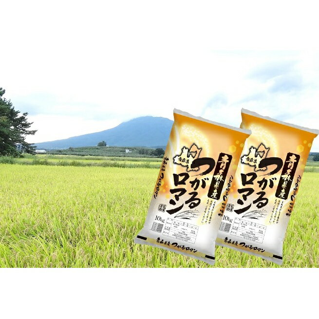 【ふるさと納税】令和2年度産 青森県産 一等米・つがるロマン20kg（精米・10kg×2袋）　【お米・つがるロマン】