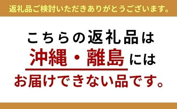 【ふるさと納税】百年木の香 サンふじギフトセット贈答用 【果物類・林檎・りんご・リンゴ・飲料類・果汁飲料・ジュース・サンふじ・贈答用】 お届け:2021年1月6日〜2021年3月31日