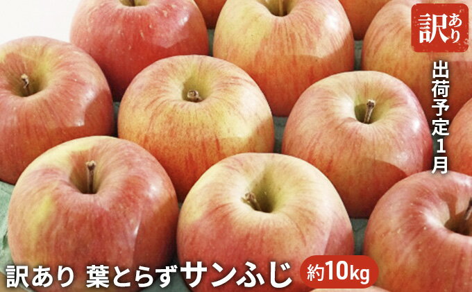 【ふるさと納税】1月 訳あり 葉とらず サンふじ 約10kg【青森りんご・グランド アップル・1月】　【果物類・林檎・りんご・リンゴ】　お届け：2023年1月5日〜2023年1月31日