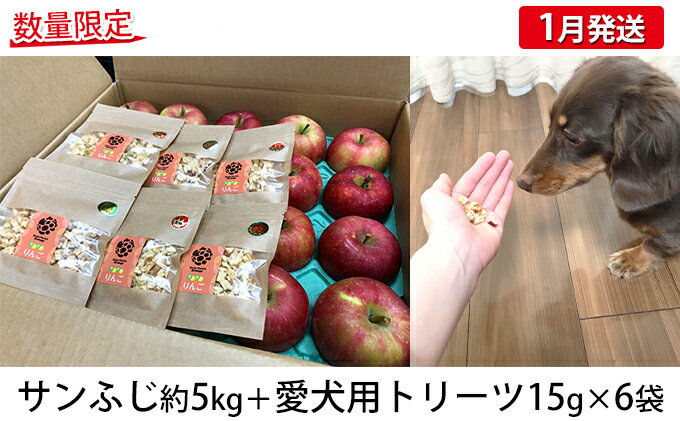 【ふるさと納税】【工藤農園・1月発送】家庭用サンふじ 約5kg＋わんこ用トリーツセット【弘前市産・青森りんご】　【果物類・林檎・りんご・リンゴ】　お届け：2023年1月5日〜2023年1月22日