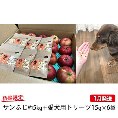 【ふるさと納税】【工藤農園・1月発送】家庭用サンふじ 約5kg＋わんこ用トリーツセット【弘前市産・青森りんご】　【果物類・林檎・りんご・リンゴ】　お届け：2023年1月5日〜2023年1月22日