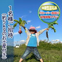 【ふるさと納税】【体験型返礼品】クローバー農園の収穫体験プラン　1名様ご招待（お一人あたり約5kgのお土産付き）　【体験チケット・収穫体験プラン・1名様・収穫体験】