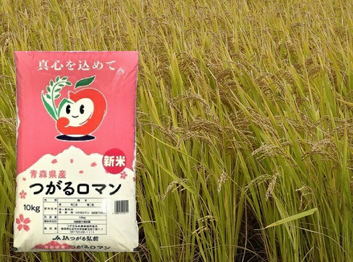 【ふるさと納税】青森県産 つがるロマン10kg（精米）　【お米・白米】