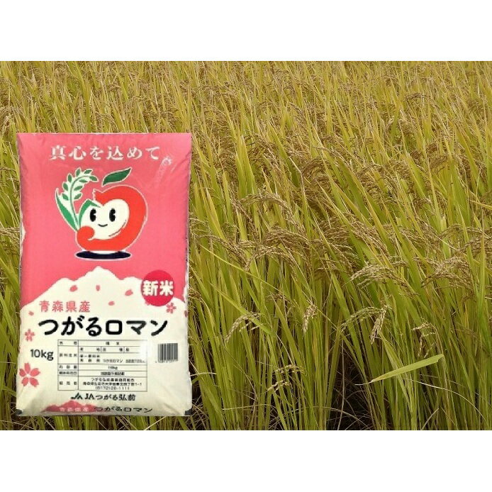 【ふるさと納税】青森県産 つがるロマン10kg（精米）　【お米・白米】